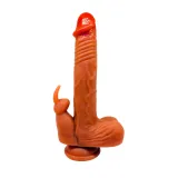 Dương vật giả gắn tường