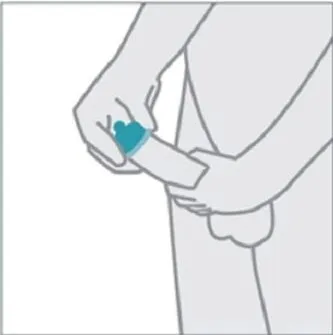 Bước 2: Đặt bao cao su lên đầu dương vật khi đã cương cứng. Nếu chưa cắt bao quy đầu, hãy vuốt phần da quy đầu lên trước khi tròng bao.